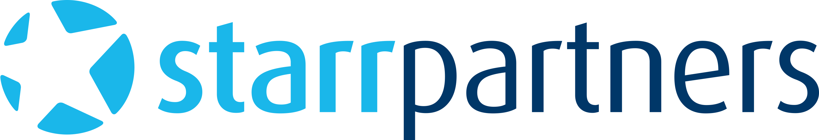Starr Partners